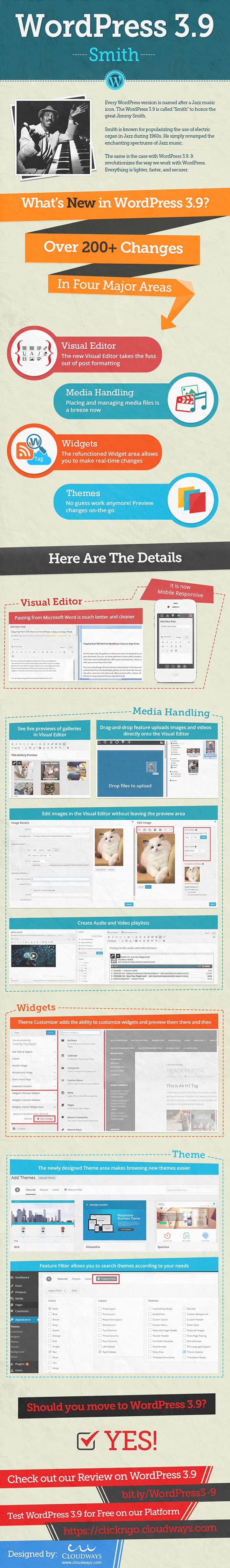 wordpress_3-9_infographic